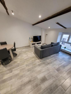 appartement rénové climatisé 1ch 50m2 à la semaine